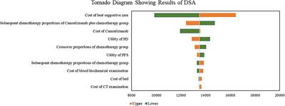 Cost-effectiveness analysis of camrelizumab plus chemotherapy as first-line treatment for advanced squamous NSCLC in China